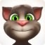 Talking Tom Cat